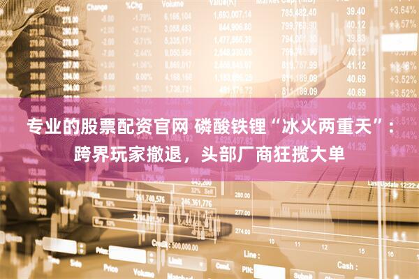 专业的股票配资官网 磷酸铁锂“冰火两重天”：跨界玩家撤退，头部厂商狂揽大单