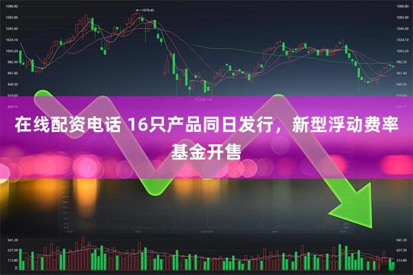 在线配资电话 16只产品同日发行，新型浮动费率基金开售