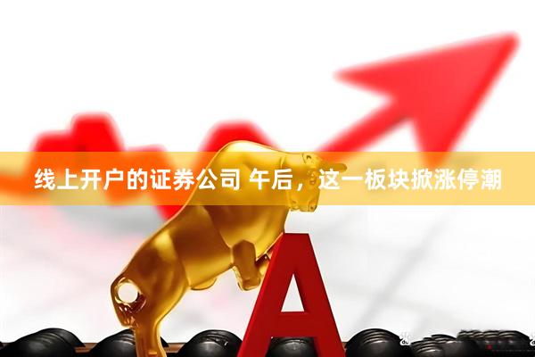 线上开户的证券公司 午后，这一板块掀涨停潮