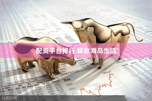 配资平台排行 极致海岛生活